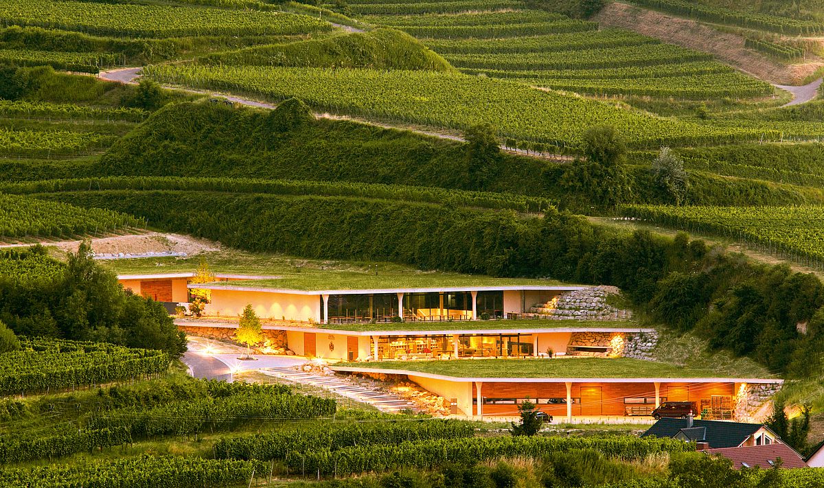 Weingut Franz Keller, Oberbergen - Becherer